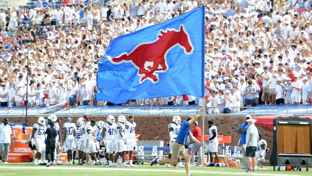 mustang flag