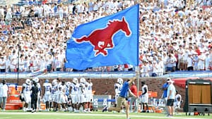 mustang flag