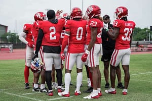 cougars